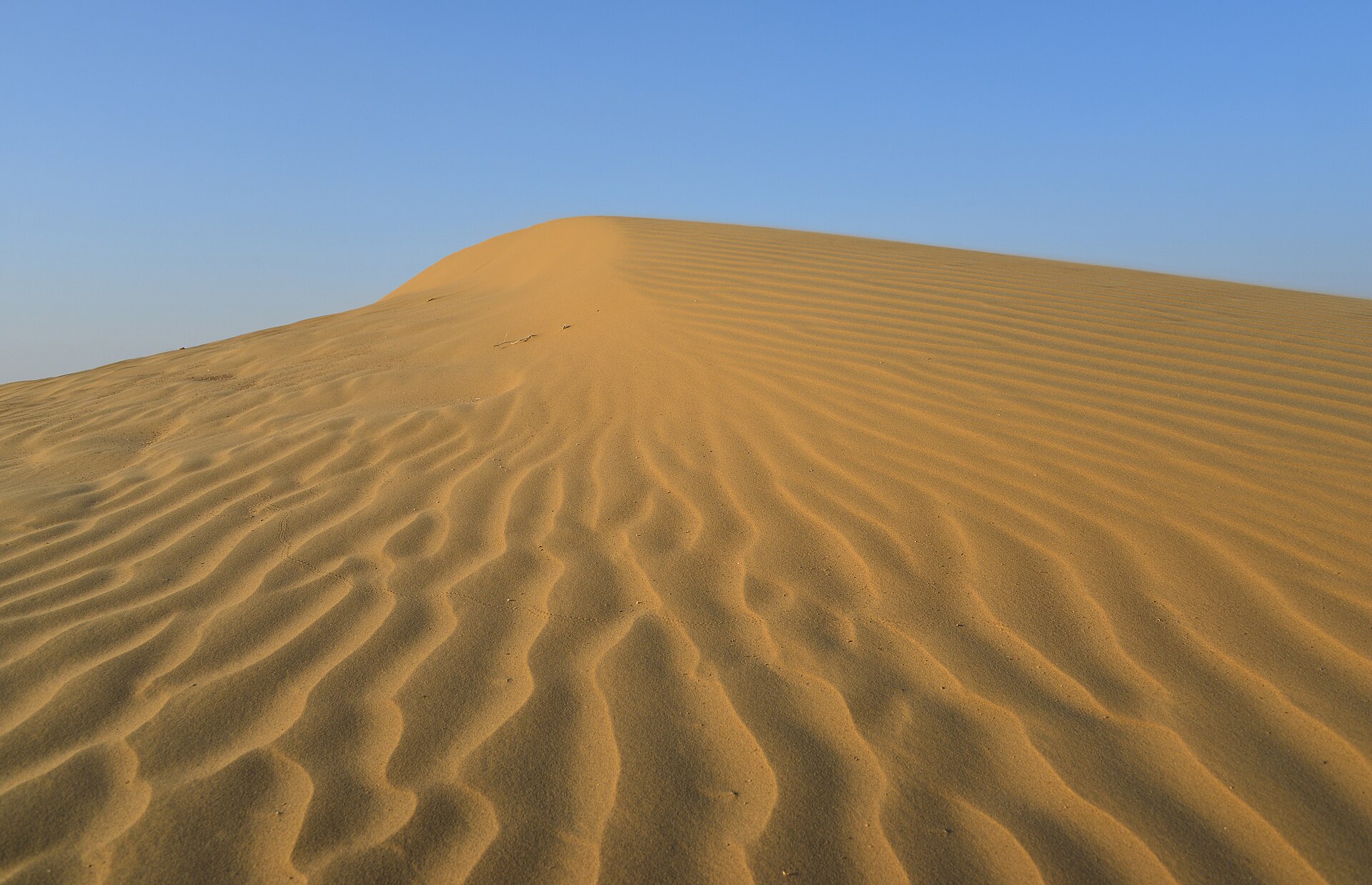 Morgan's Essay 039: Inner Mongolia – Ordos, Kubuqi Desert